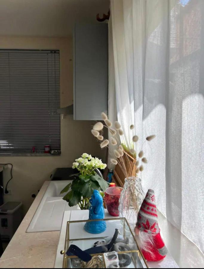 Brilant Studio Apartment City Center Tirana Exteriör bild